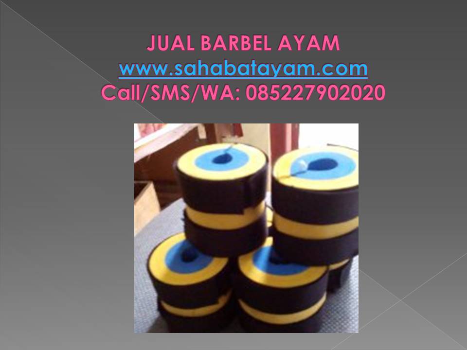 Paling baru, WA: O852279O2O2O, barbel ayam 4OO gram