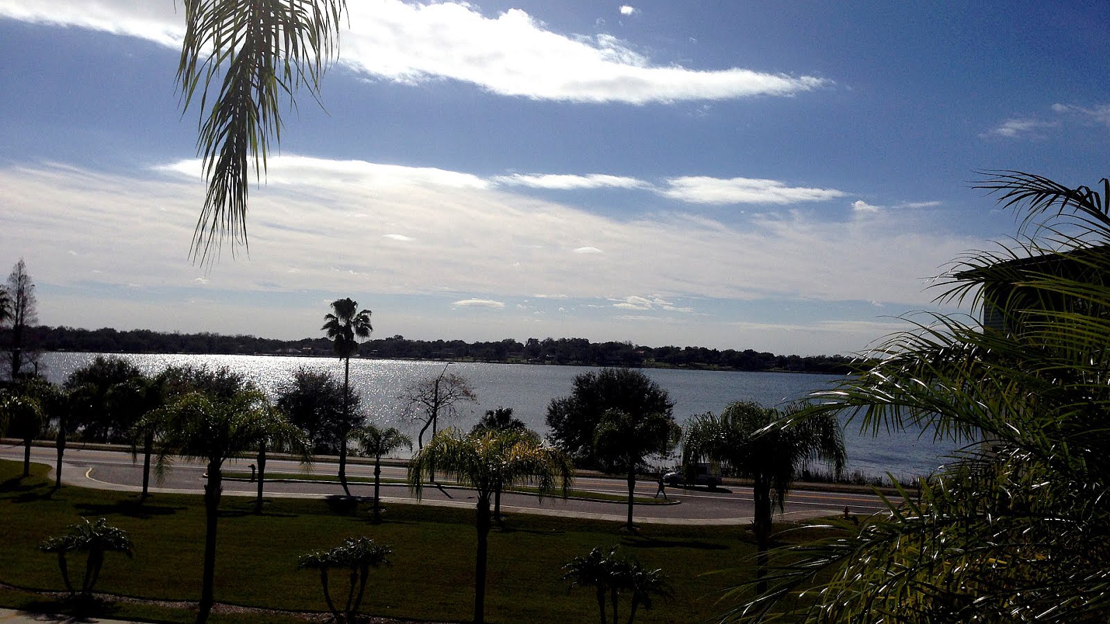 Florida Southern College Tuition College Choices