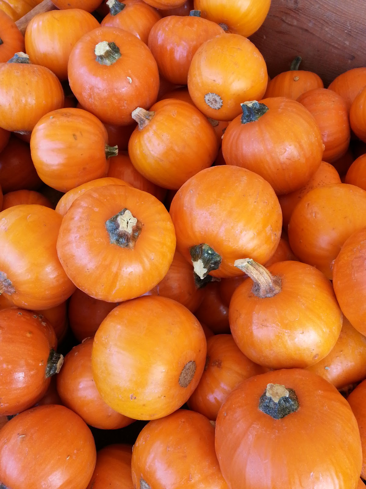 Craft Warehouse Gresham Store Grand Opening Create Often