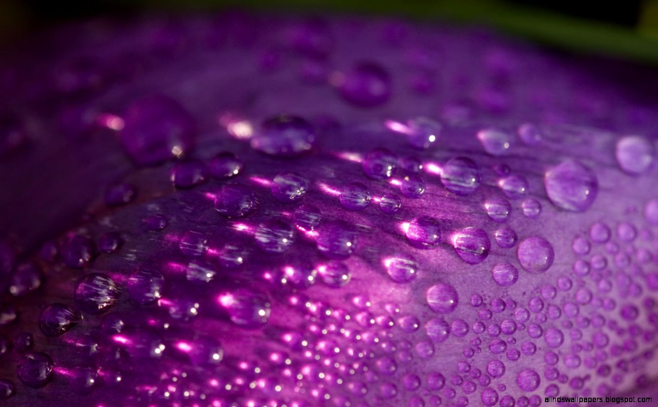 Cool Purple Patterns