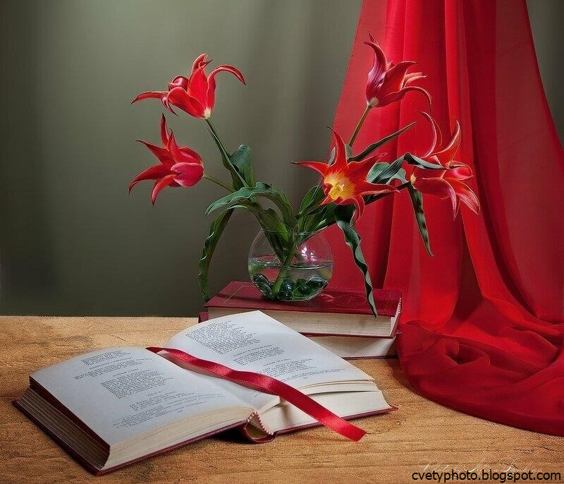 Интересно о поэзии. «Натюрморт с книгами». Цветы в поэзии. Книга цветы. Натюрморт с книгой и цветами.