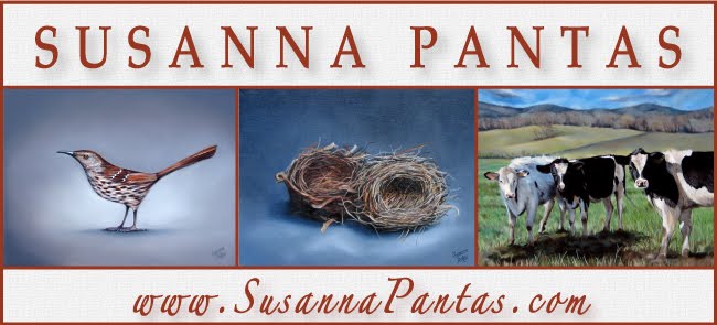 Susanna Pantas - Artist Blog