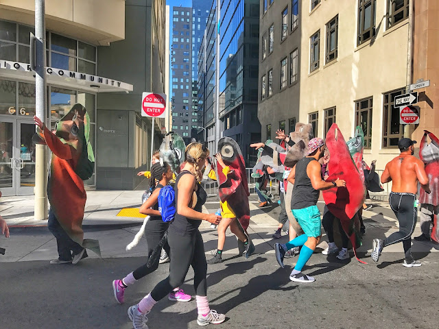 Bay to Breakers salmon