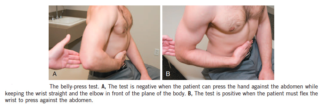 Wonderful Press belly