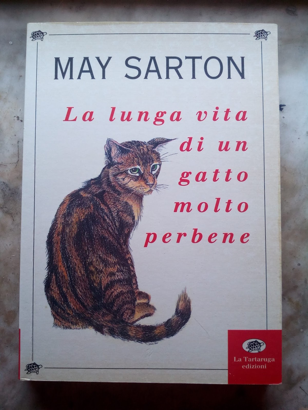 LA LUNGA VITA DI UN GATTO