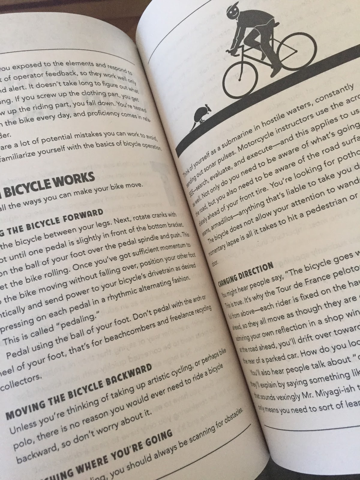 bike snob book