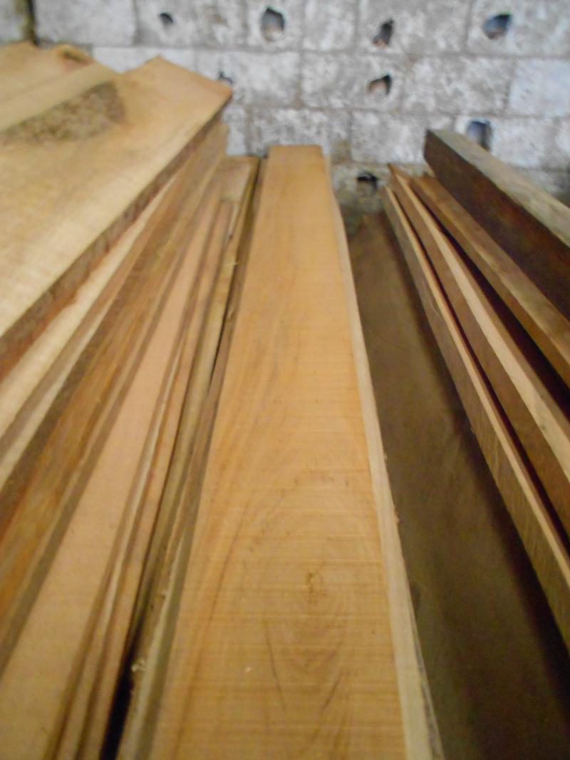 Maderas Preciosas de Guatemala: Maderas Preciosas de Guatemala