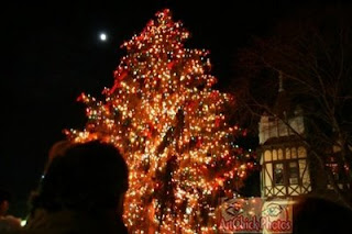 ridgewoodtreelighting thridgewoodblog.net