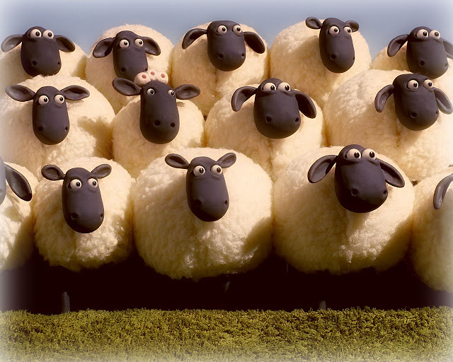 клонирани овце