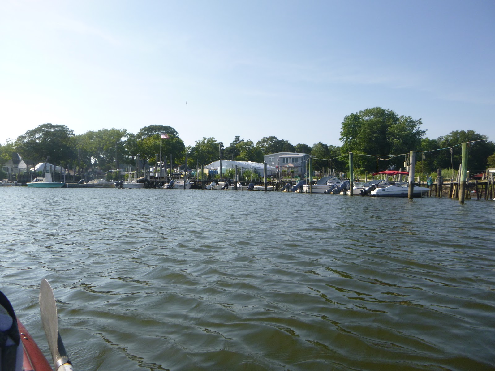 new jersey fishing report fishing new jersey NJ fishing fishing