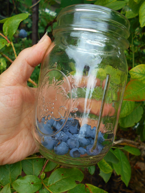 How To Make a Fermentation Starter