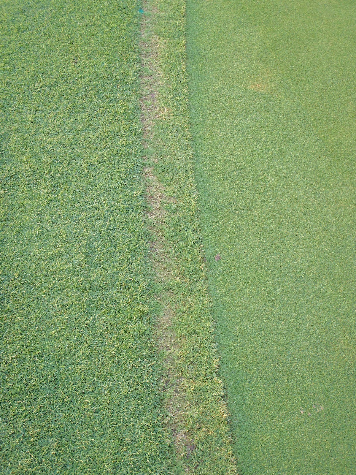 WAKONDA GROUNDS Green Edges