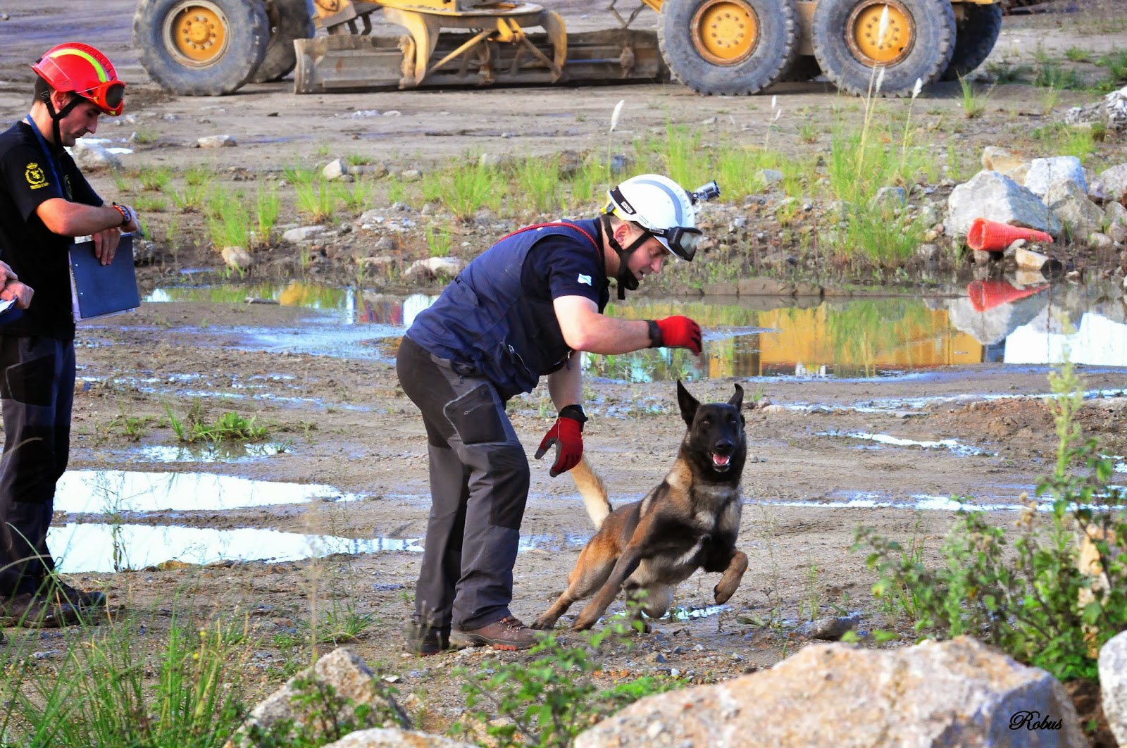 CA.SA.GA PERROS DE RESCATE: IIº PRUEBA ENCUENTRO INTERNACIONAL PERROS ...