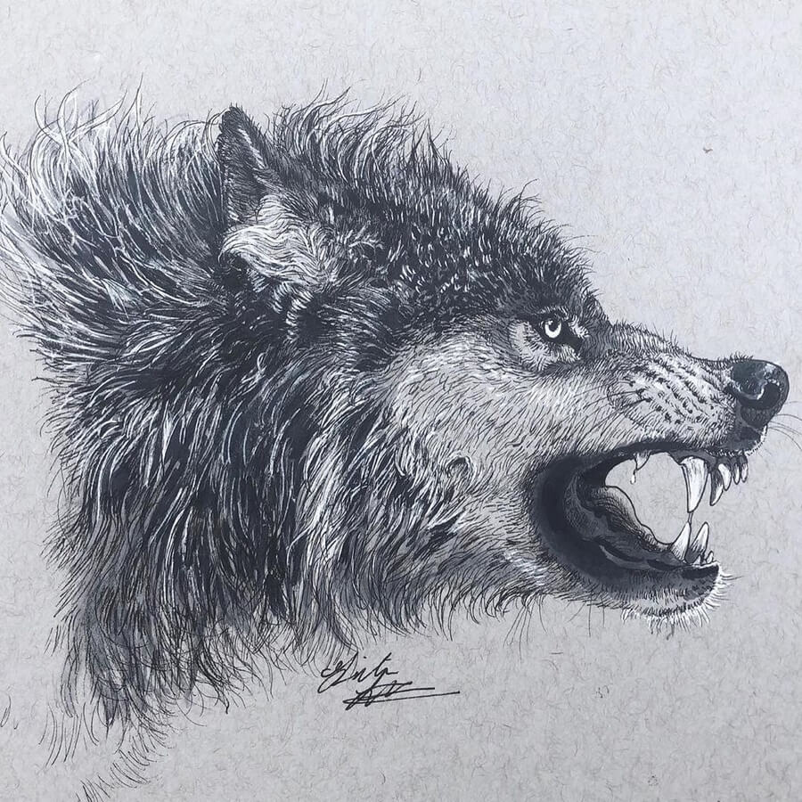 13-Snarling-Wolf-Gillian-Griffiths-www-designstack-co