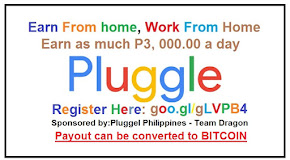 Pluggel Online