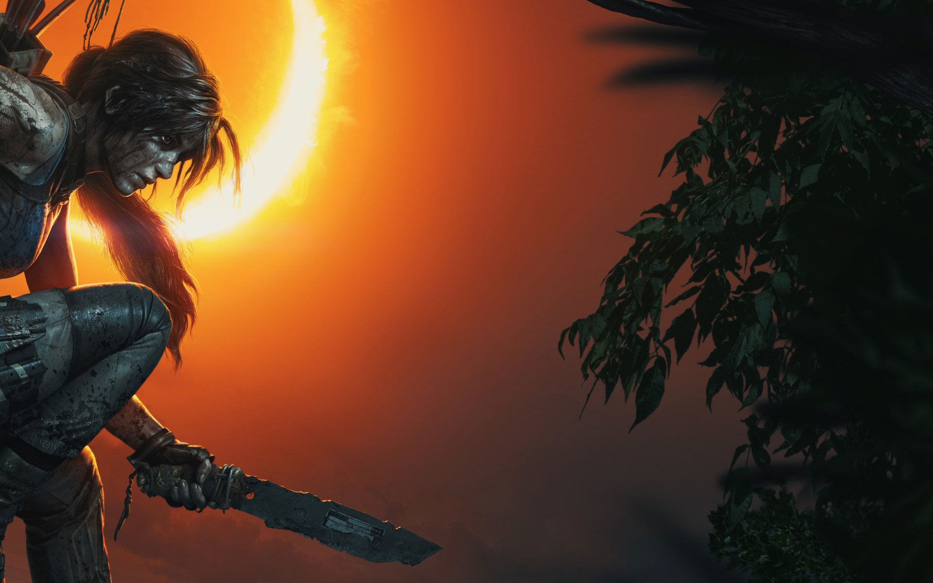 Football manager 2018 crack only pictures