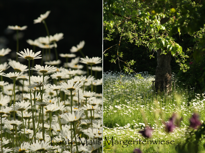 Garten Und Lecker Dekorateur