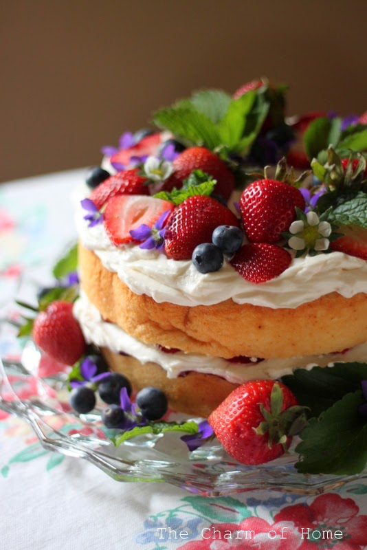 Berries & Cream Cake Tea: The Charm of Home