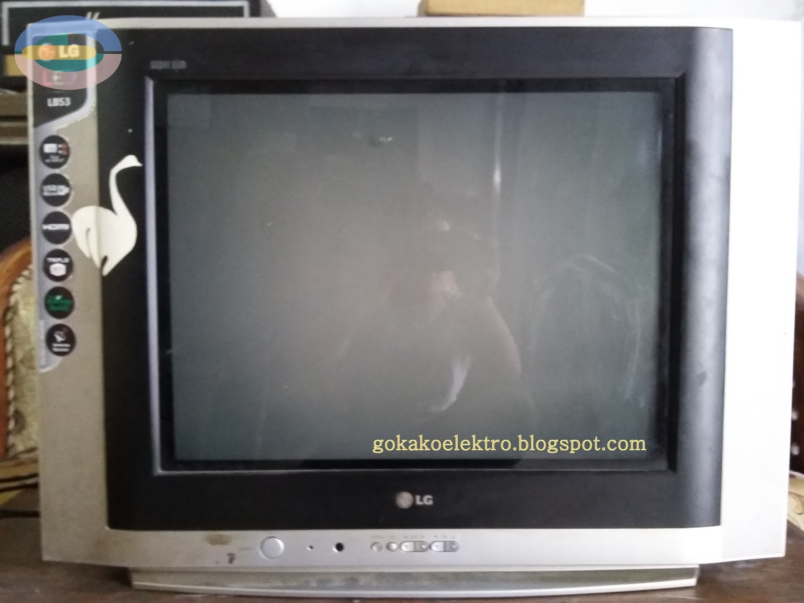 GoKako Elektro: Reparasi TV LG 21