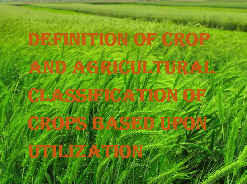 Definition of Crop and agricultural classification of crops based upon