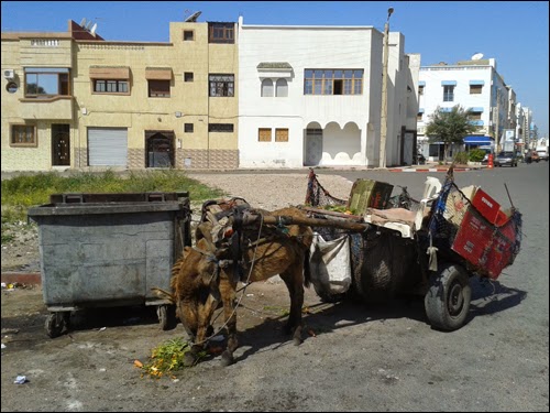 Eboueurs d'Agadir