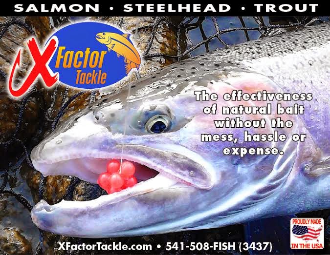 Salmon, Steelhead & Trout Gear