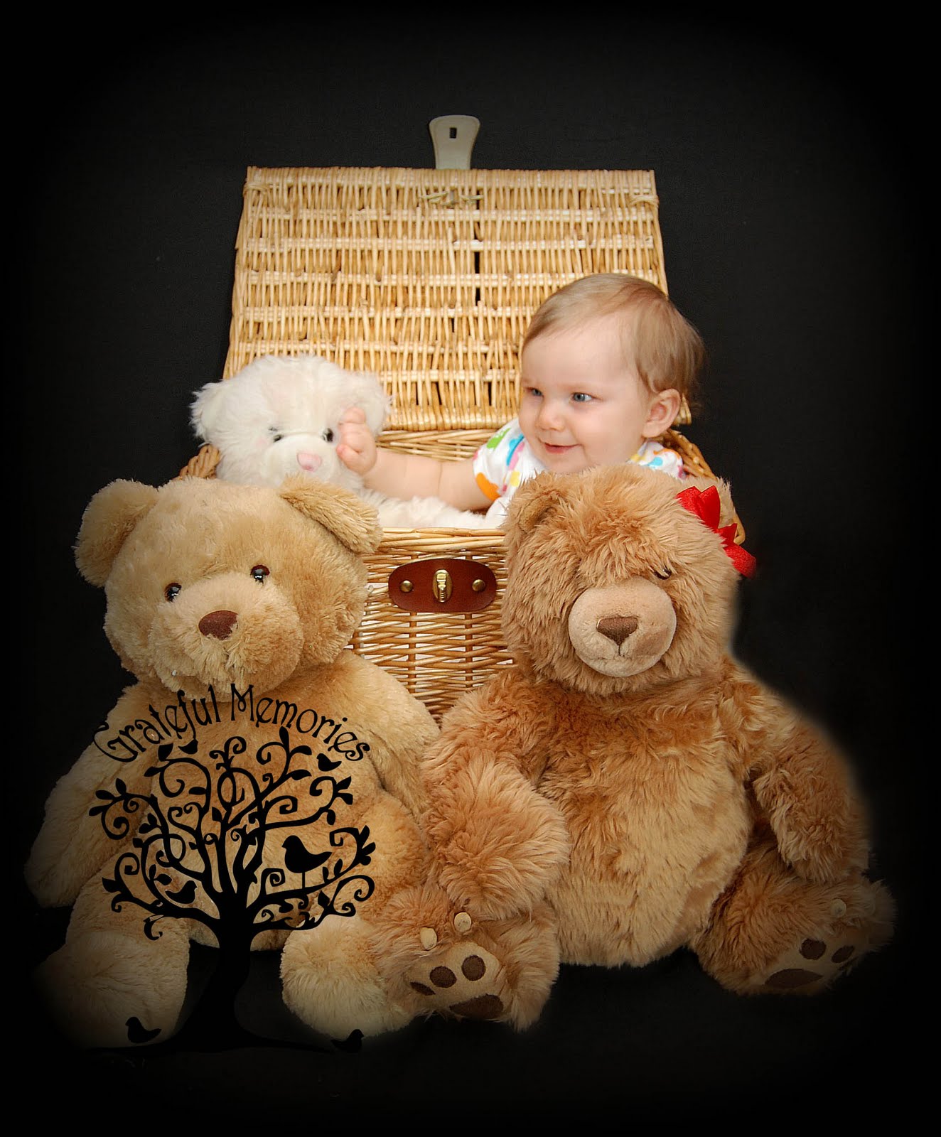 teddy bears picnic teddy bears picnic