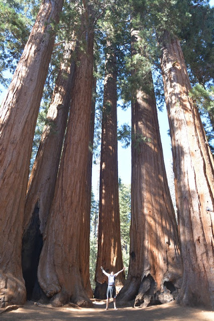 Sequoia National Park- caminando por el Bosque Gigante - Viaje con tienda de campaña por el Oeste Americano (13)