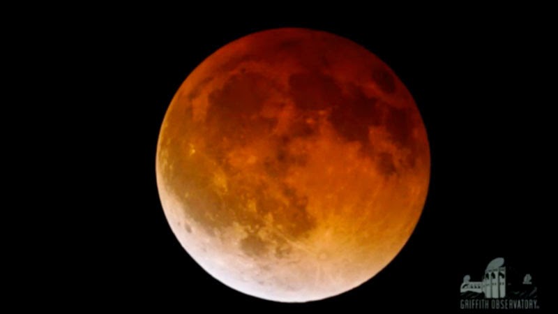 Foto Eclipse Lunar Total Lua de Sangue 15 de abril de 2014