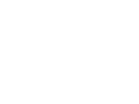 Netsuite partner