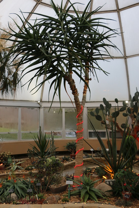 Michigan Exposures Hidden Lake Gardens Holiday Lights