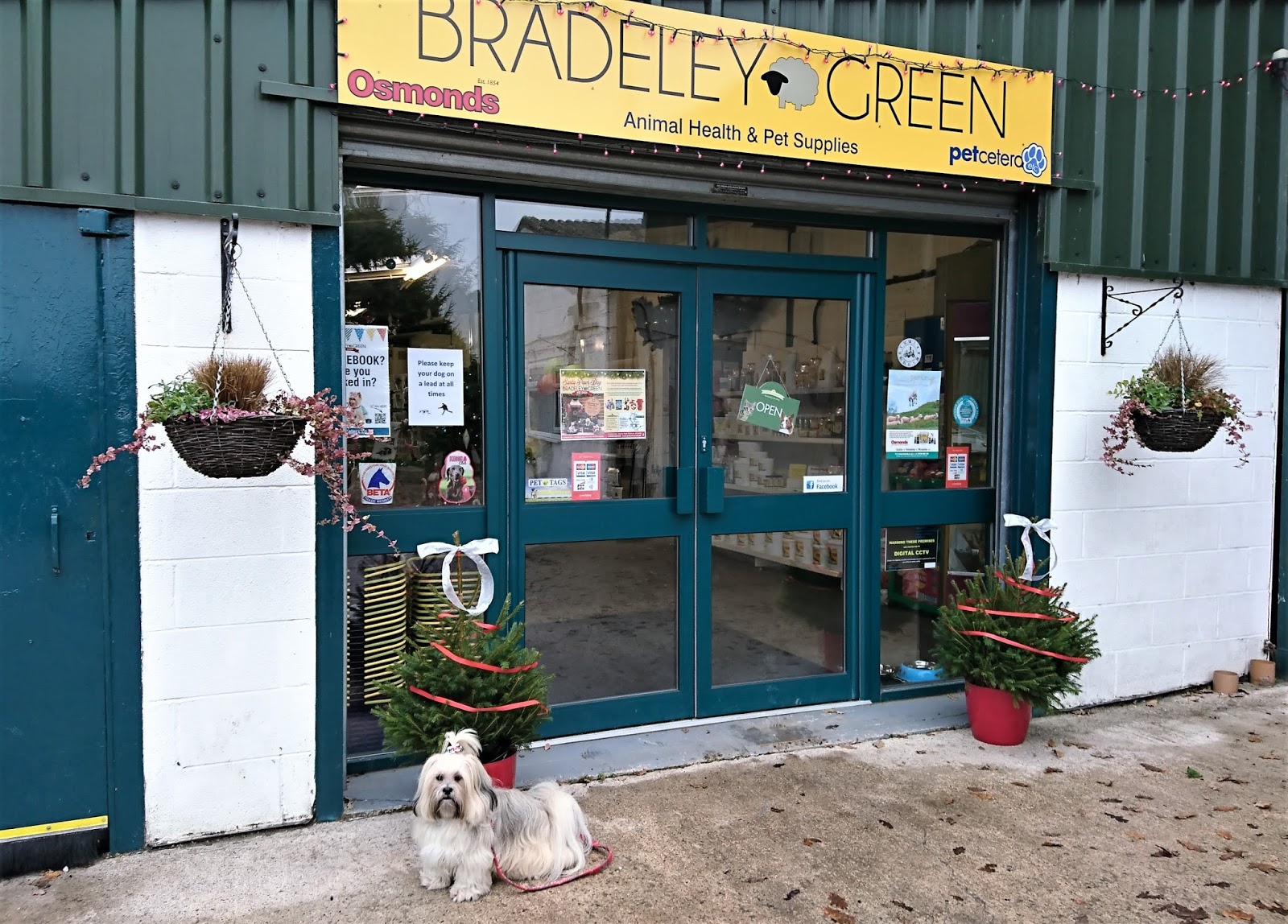 green pet store