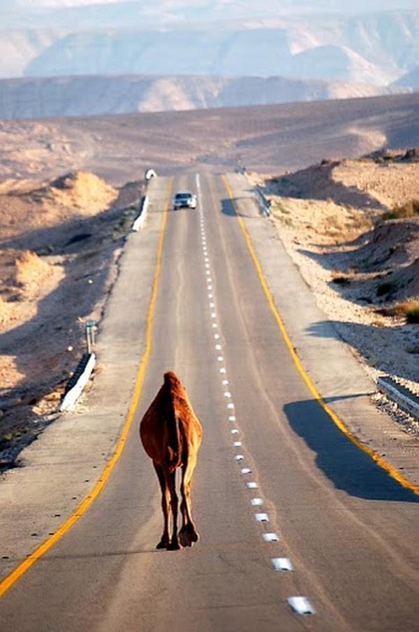 Most amazing photos you have ever seen.. ~ Shazan Zahid: My Web World