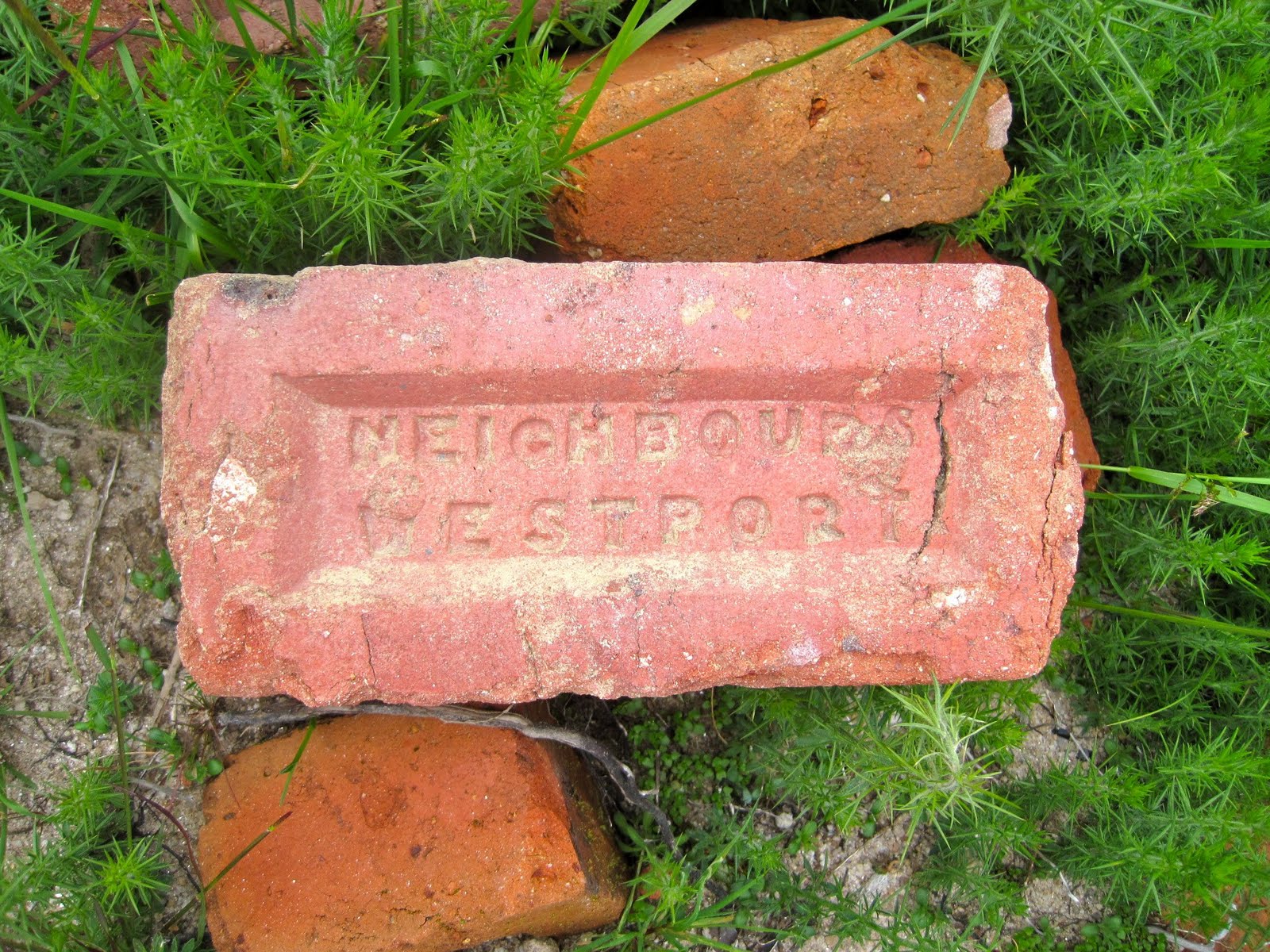 Carolyn in Aotearoa The Mines of Millerton (Yes, Millerton, not Moria)