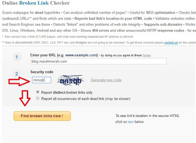 Online Broken Link Checker2