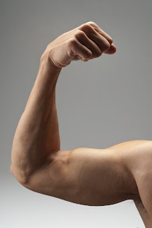 The fastest way to increase and strengthen the arm muscles