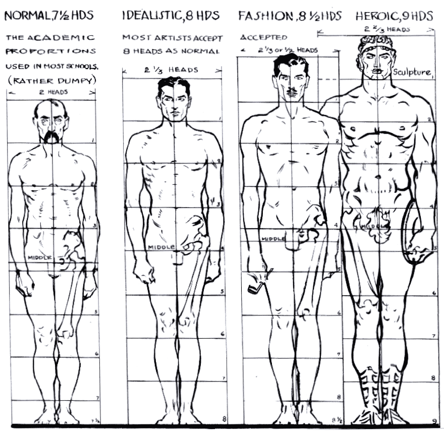[Image: Loomis%2527+Proportions.png]