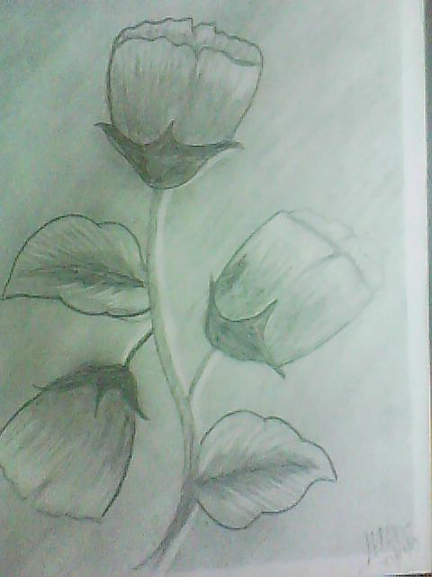 Arte Desenhos Flores