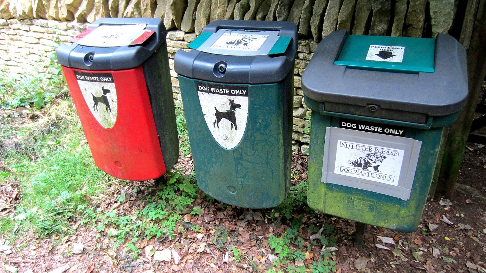Feces Dog Waste Bin Dog Choices