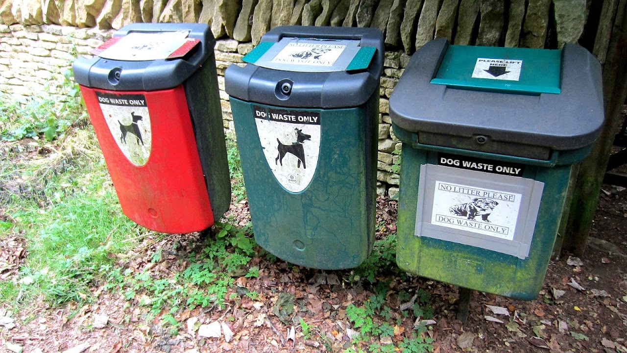 Feces Dog Waste Bin Dog Choices