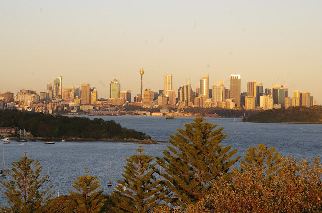 Sydney skyline at sunrise