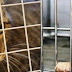 Σαν Ντιέγκο: Απαγορεύτηκε η πώληση ζώων στα pet shop