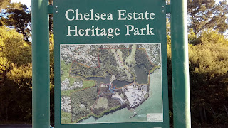 Intercâmbio Nova Zelândia – Passeio por Birkenhead e Chelsea Estate Heritage Park