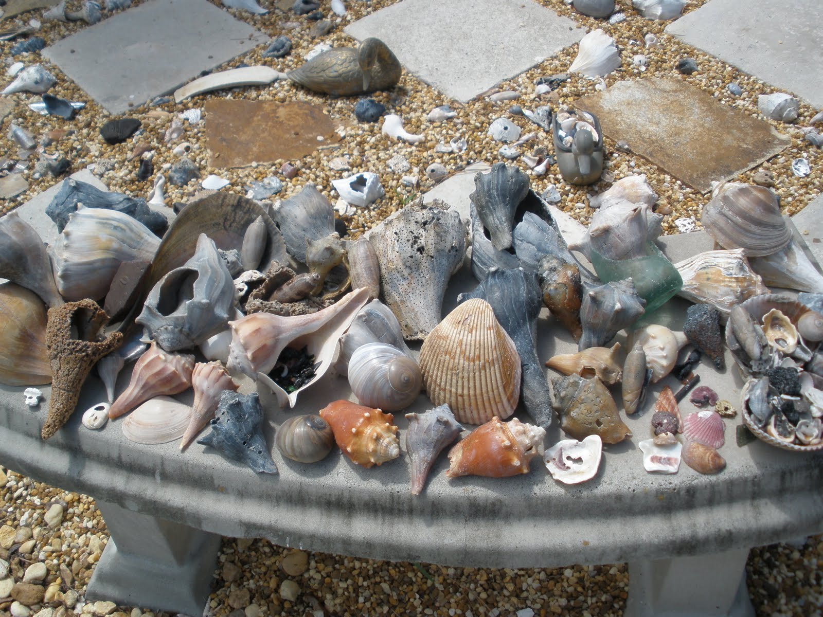 Betty's Beach Finds
