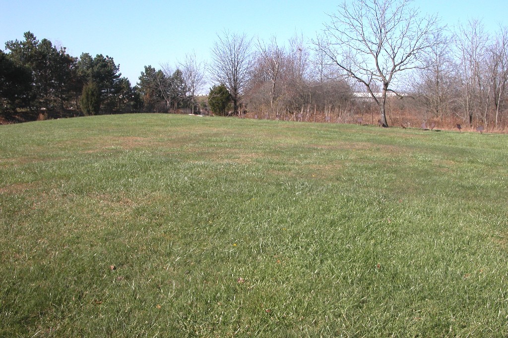 The Humble Historian Potter's Field, Paris Township, Union County, Ohio