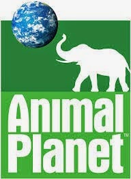 Animal Planet New Update DCW Key On Hotbird