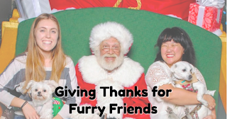 Giving Thanks for Furry Friends (c) the Joyous Living