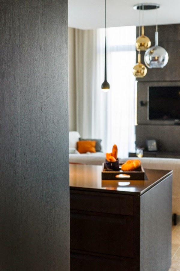 A high-tech Apartment design