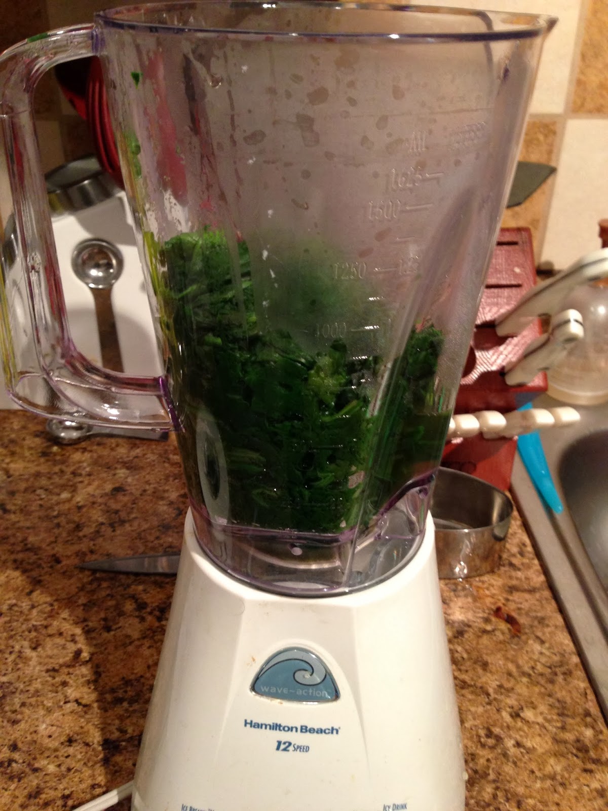 Achi Gori Bivi: Palak Paneer (Spinach Cheese)