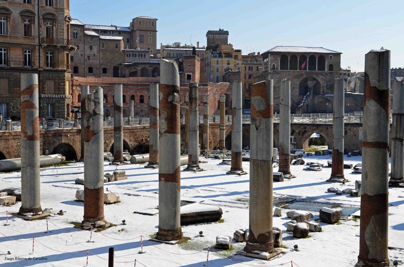 Nouveau Venu Qui Cherches Rome En Rome Analyse
